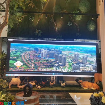 廣西農墾大夏p2全彩 20平米